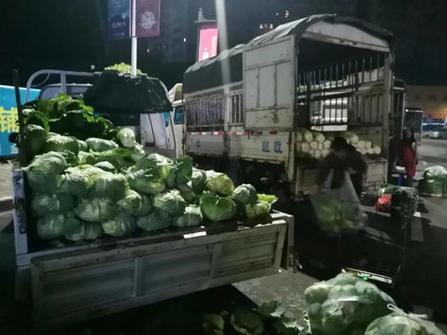 川祖廟農貿市場整體搬遷，京投果蔬農副產品批發市場引領忠縣商貿流通業轉型升級