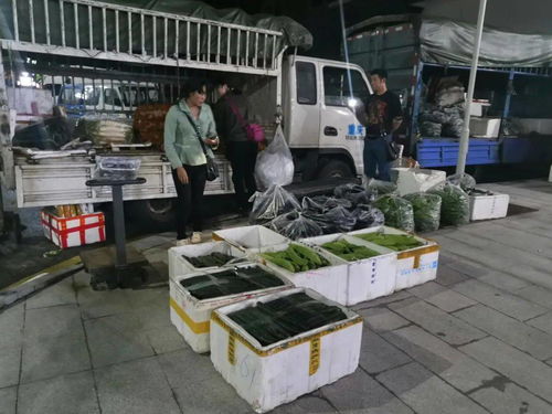 川祖廟農(nóng)貿(mào)市場整體搬遷 京投果蔬農(nóng)副產(chǎn)品批發(fā)市場助力忠縣商貿(mào)流通業(yè)轉(zhuǎn)型升級